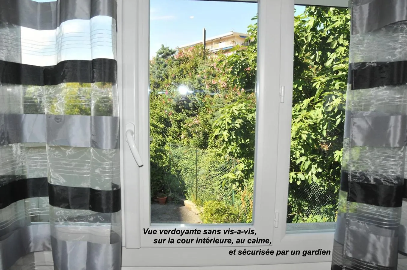 Studette Cannes Croisette Martinez Area