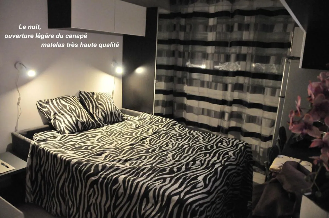 Studette Cannes Croisette Martinez Area Apartamento